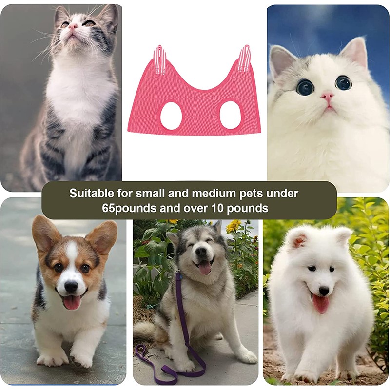 Pet Supplies Nail Trim - Rede de Beleza para Pets: Saco