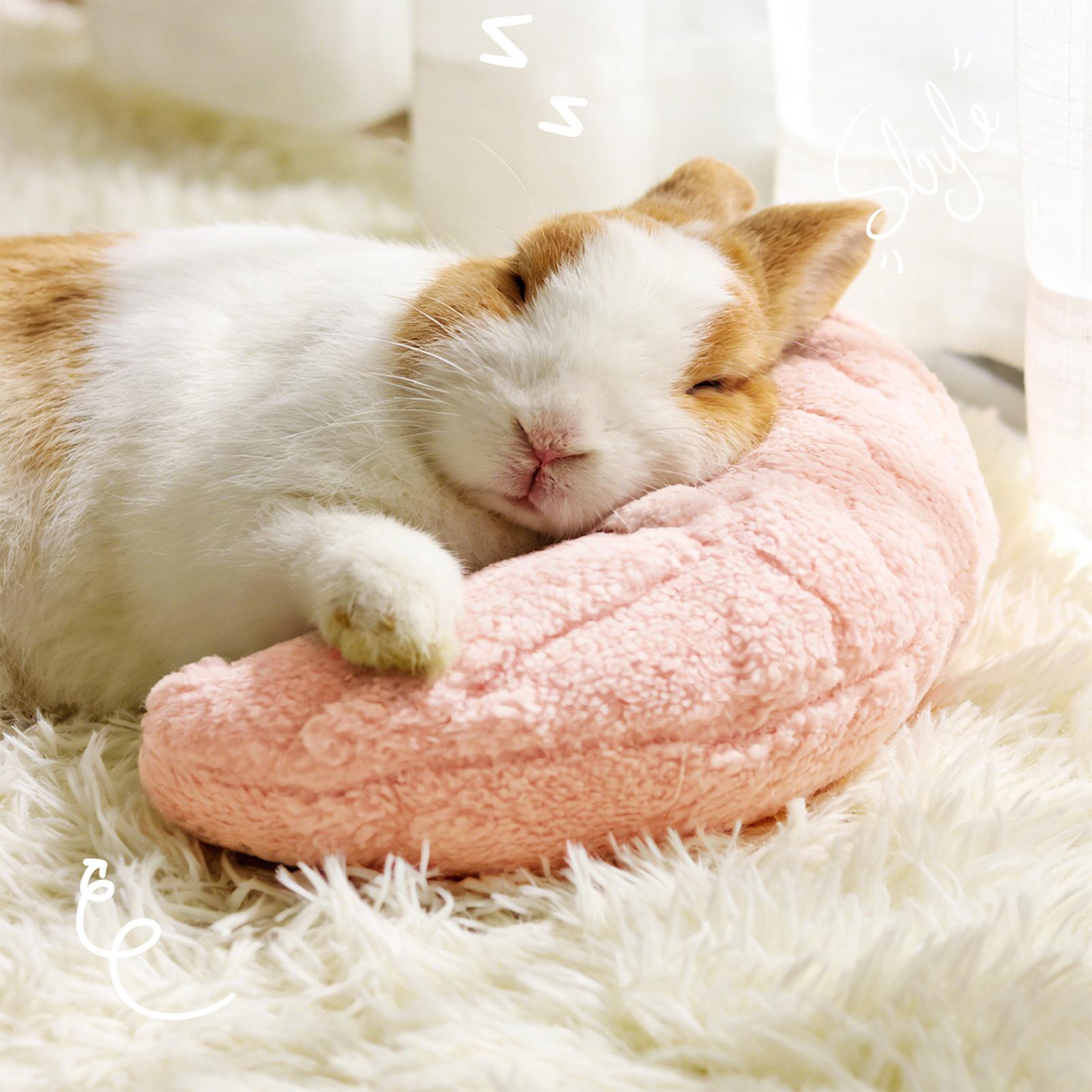 Pet Supplies App - Almofada de Pescoço em Formato de