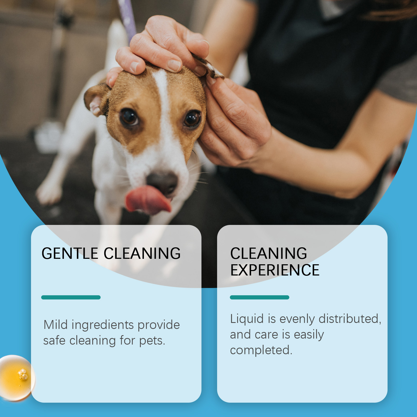 Limpador de ouvido para cães e - Pet Ear Cleaner avaliação e preço