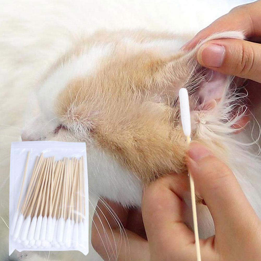 50/100 pçs varas de algodão cã - Pet Ear Cleaner avaliação e preço