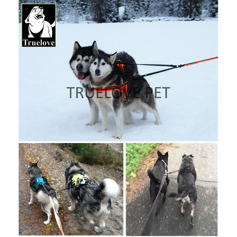 Trela dupla de nylon Truelove  - Retractable Dog Leash avaliação e preço