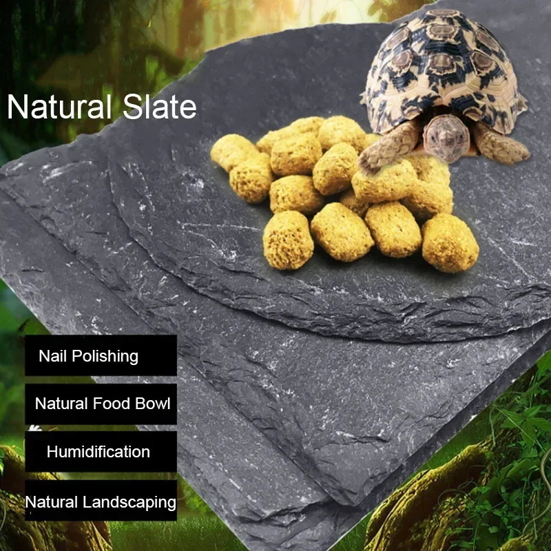 Natural Slate Aquarium Pet Rép - Pet Supplies Fish avaliação e preço