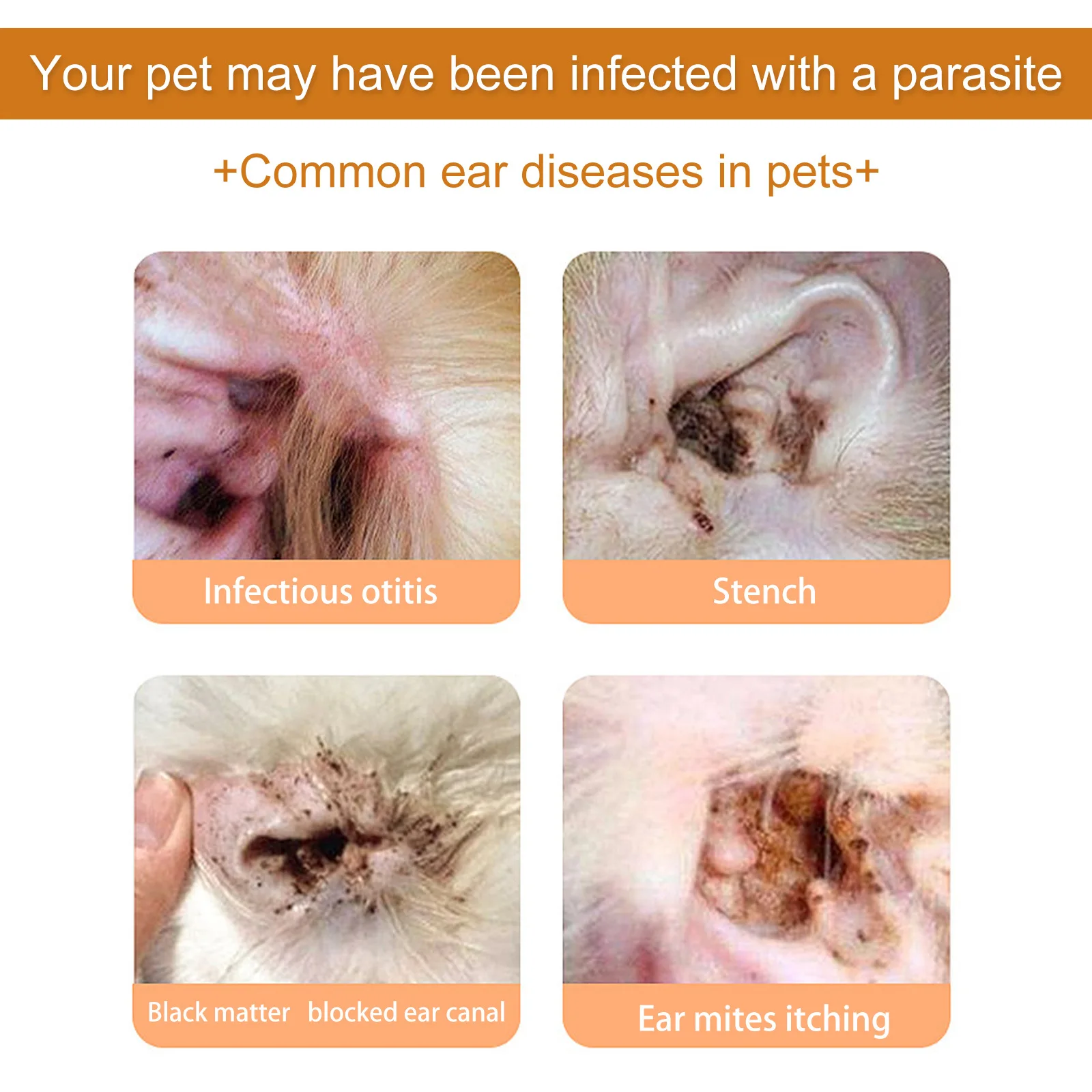 Pet orelha cleaner gotas imped - Pet Ear Cleaner avaliação e preço