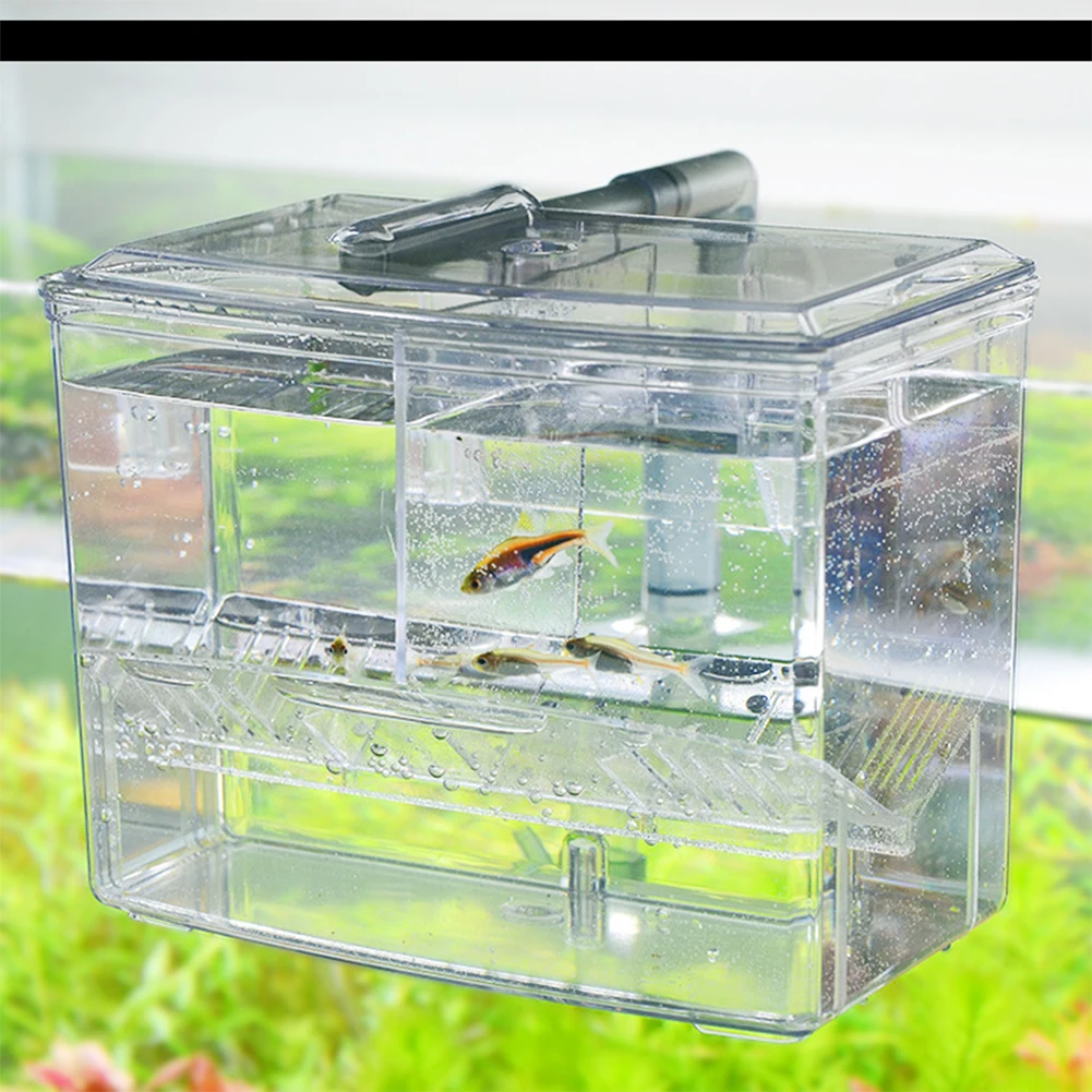 Caixa de Criação de Peixes par - Pet Supplies Fish avaliação e preço