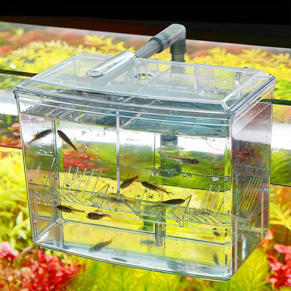 Caixa de Criação de Peixes par - Pet Supplies Fish avaliação e preço