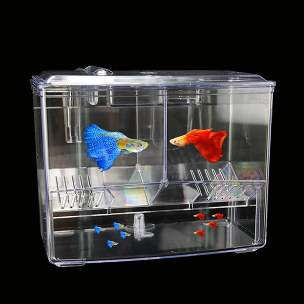 Caixa de Criação de Peixes par - Pet Supplies Fish avaliação e preço