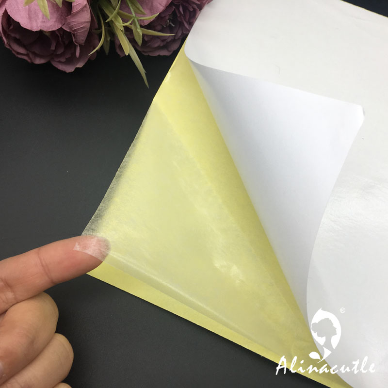 Fita Dupla Face Transparente,  - Pet X Supplies avaliação e preço