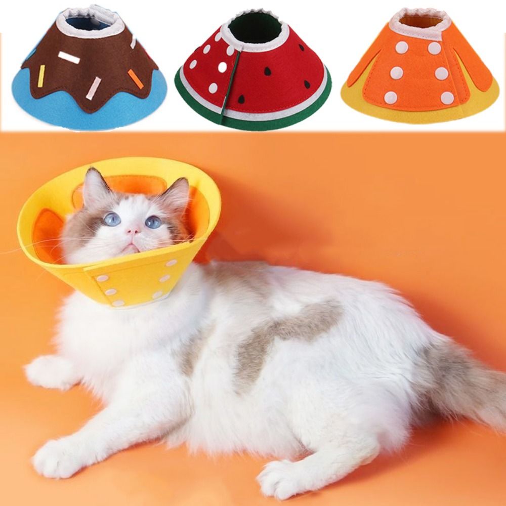 Coleiras Protetoras Elizabetan - Pet Supplies Ringwood avaliação e preço