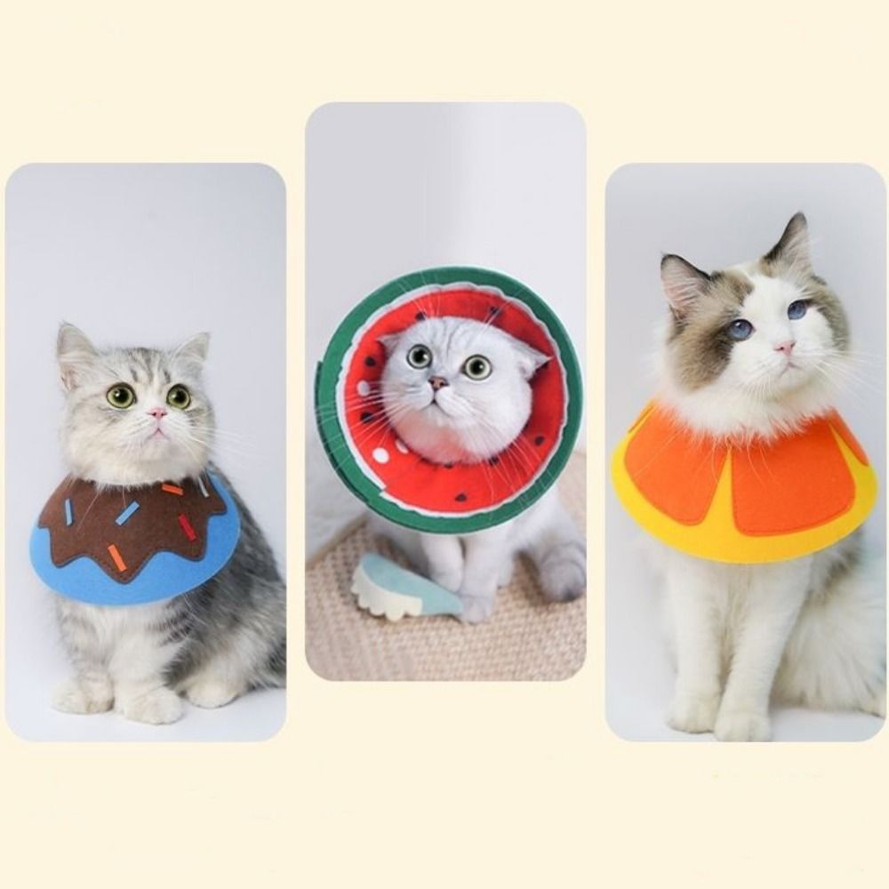 Coleiras Protetoras Elizabetan - Pet Supplies Ringwood avaliação e preço