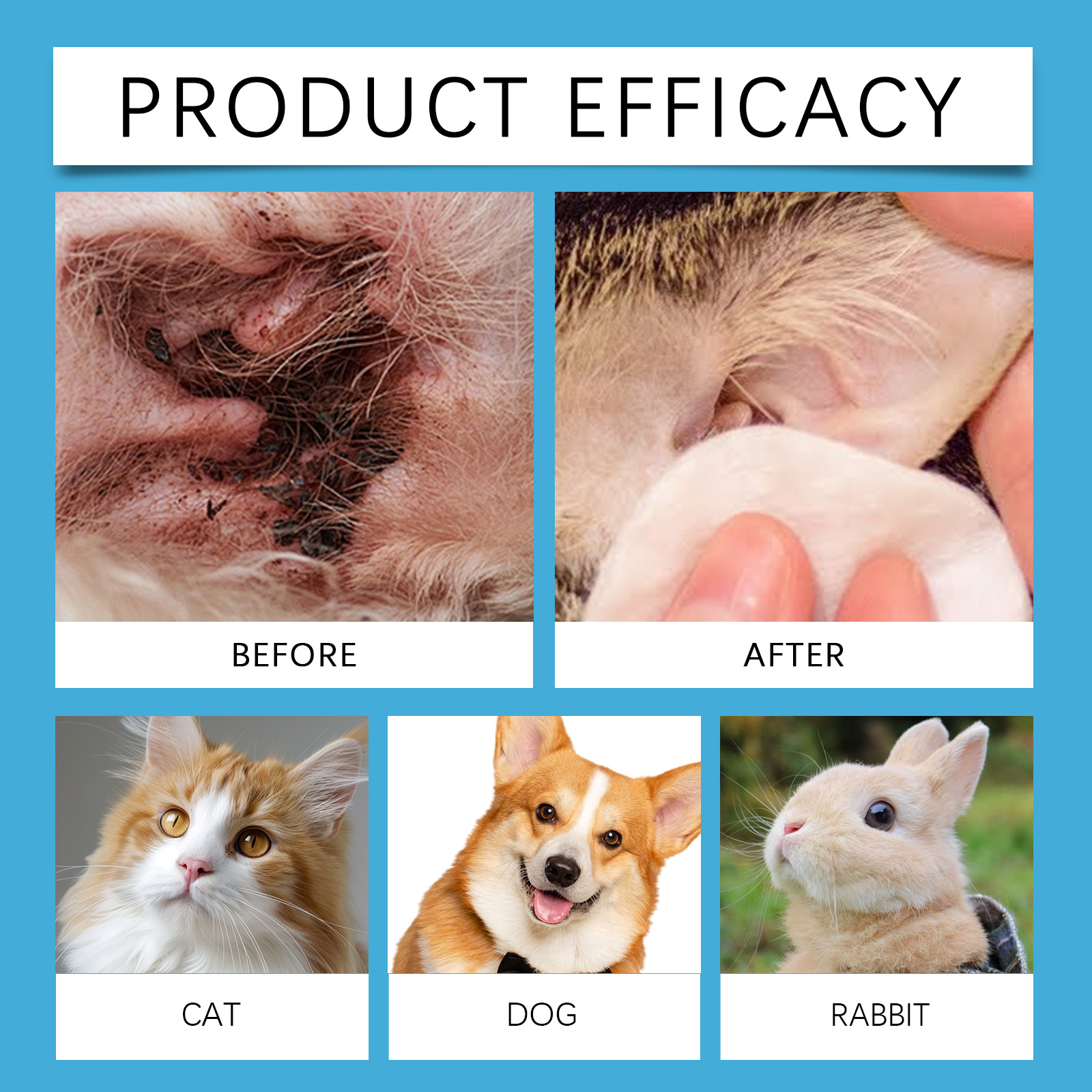 Limpador de Ouvidos para Anima - Pet Ear Cleaner avaliação e preço