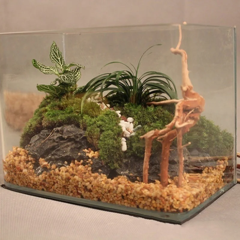 Nova Raiz de Madeira Natural P - Pet Supplies Fish avaliação e preço