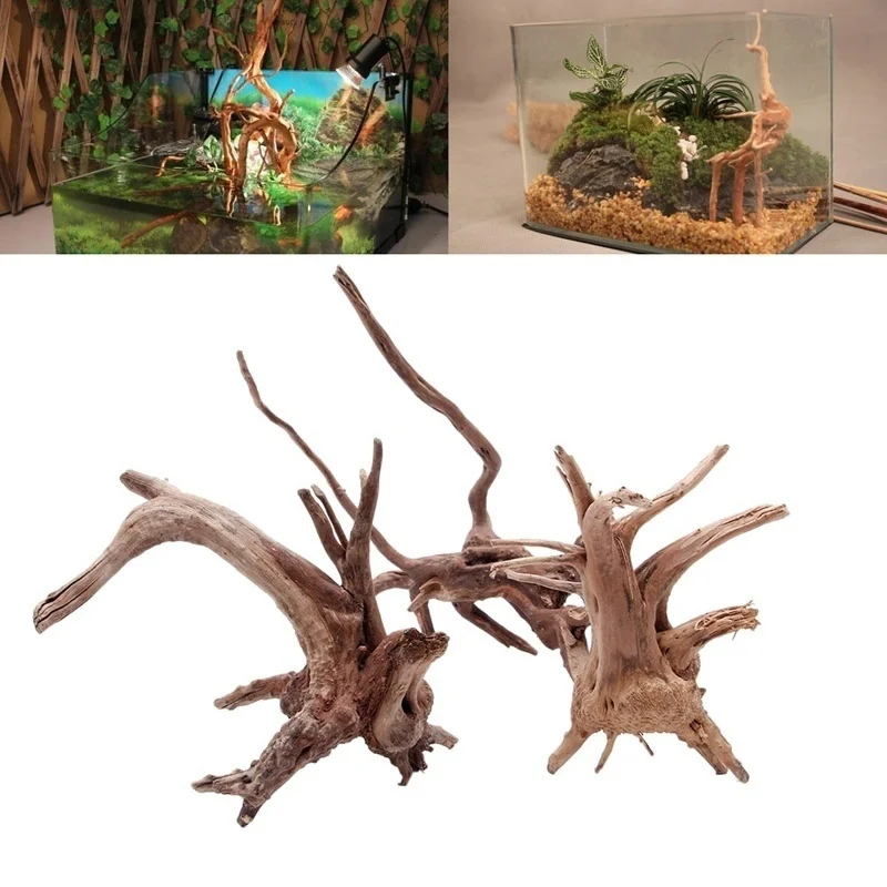 Nova Raiz de Madeira Natural P - Pet Supplies Fish avaliação e preço