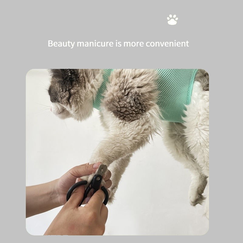 Gato aliciamento corte de unha - Pet Supplies Nail Trim avaliação e preço