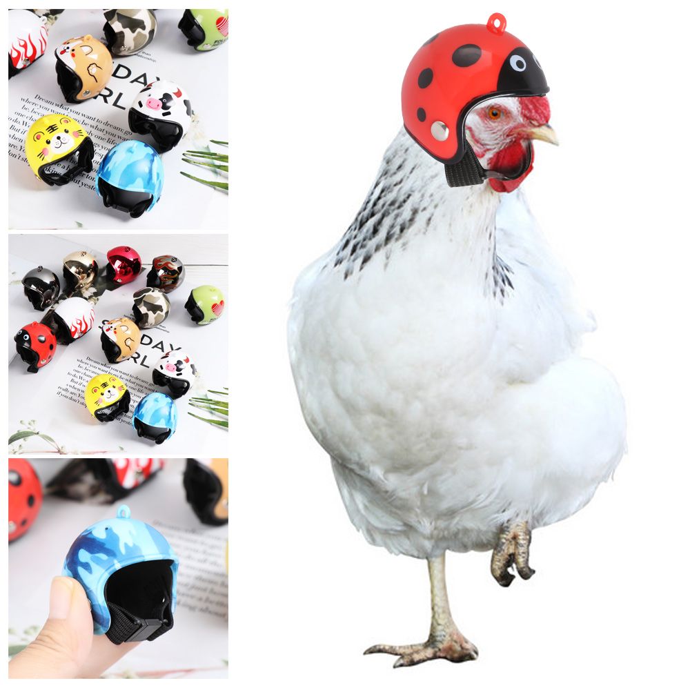 Capacete Protetor Engraçado pa - Pet X Supplies & Tack avaliação e preço