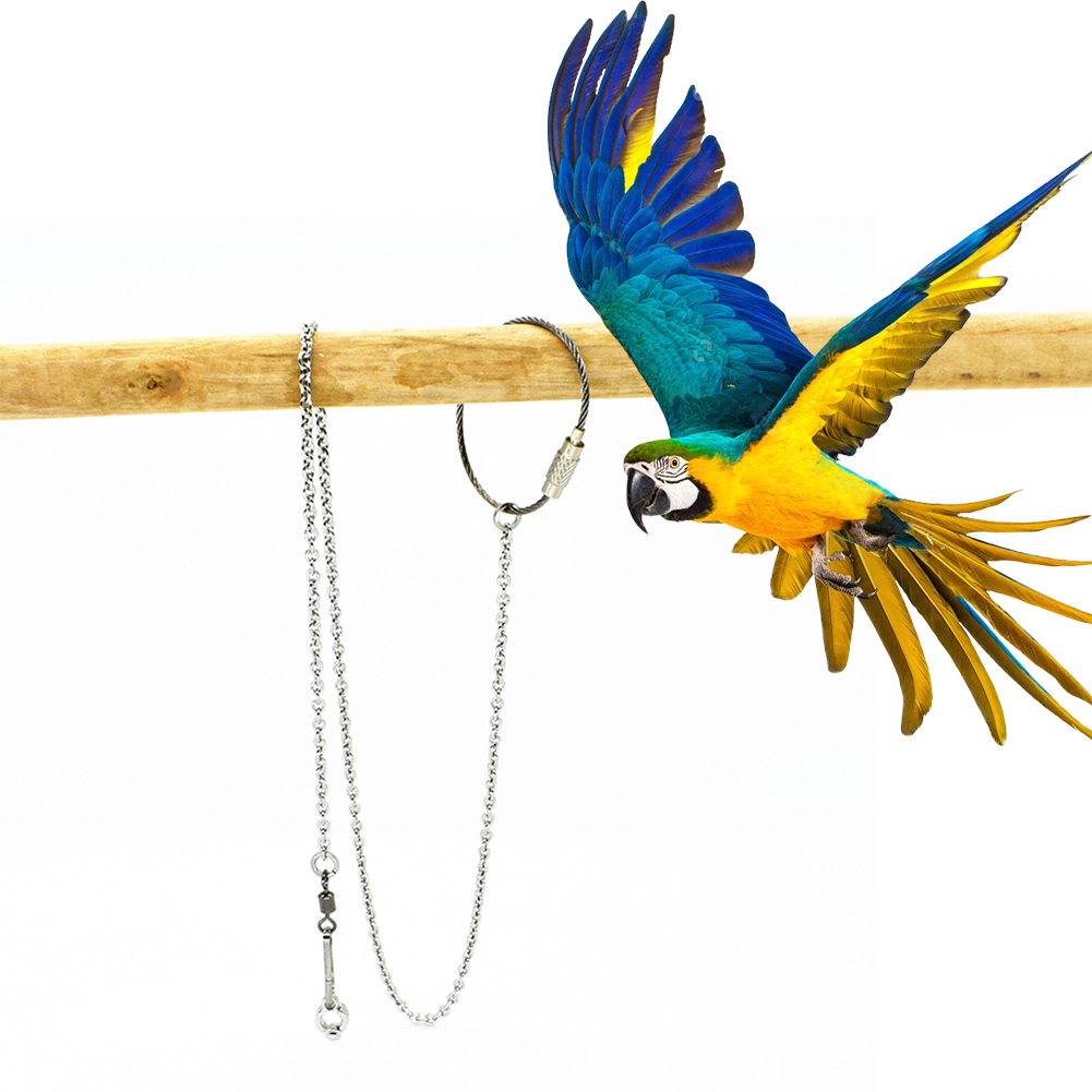 1 pçs animal de estimação papa - Pet Supplies Ringwood avaliação e preço